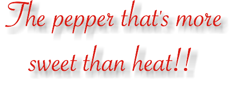  The pepper that's more sweet than heat!!